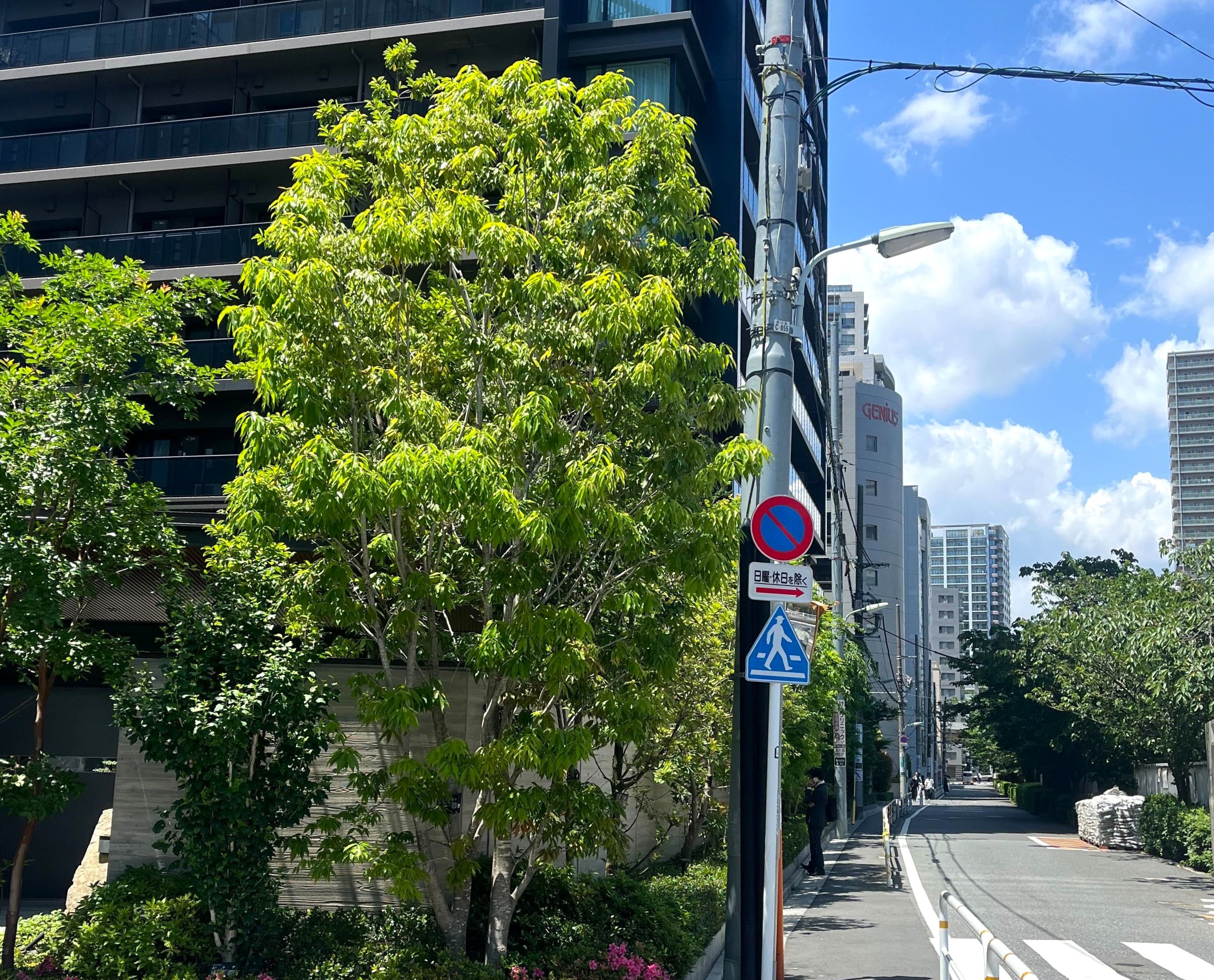 city-life-refresh-3(五反田駅近く).jpg