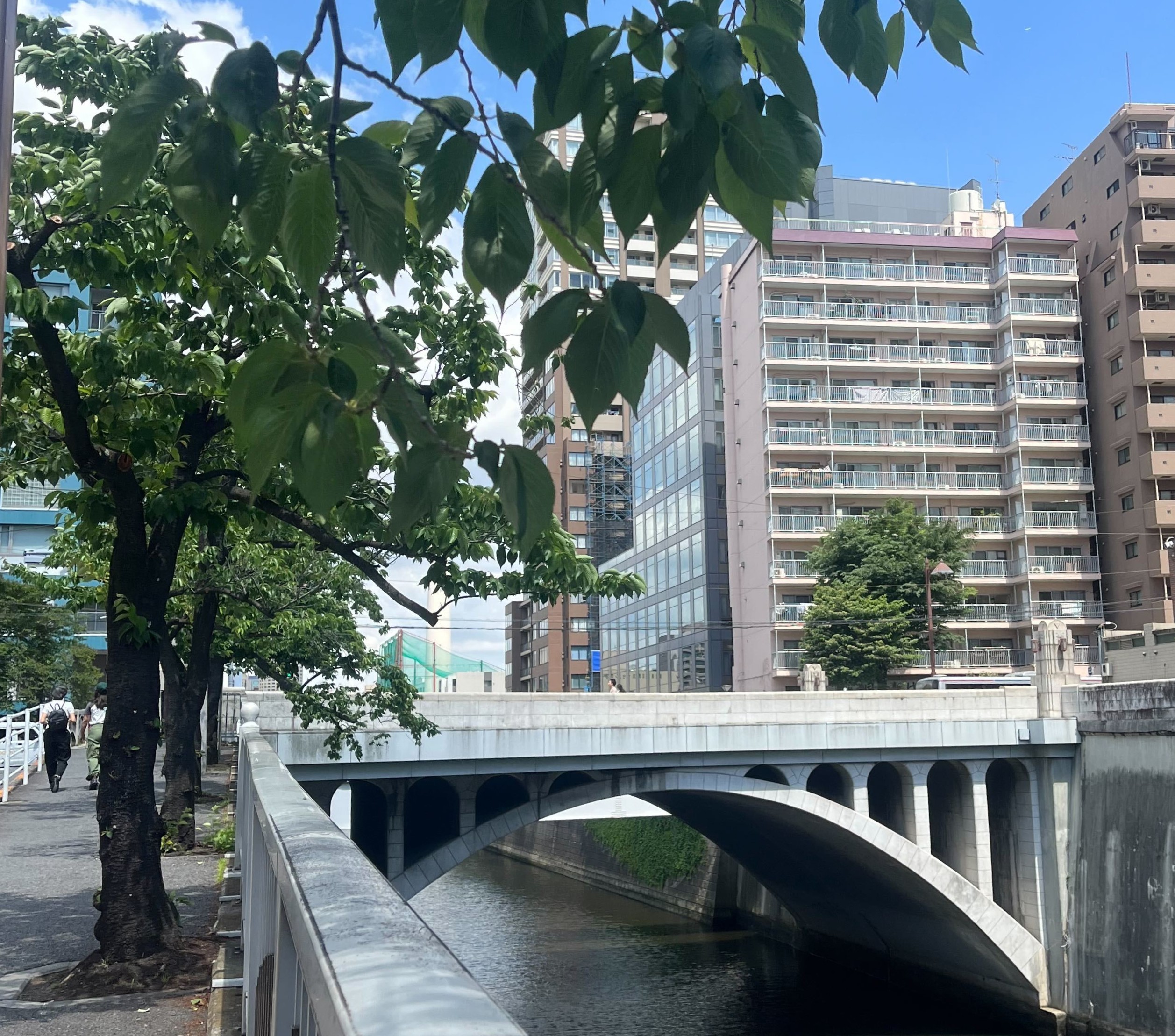 city-life-refresh-2(目黒川).jpg